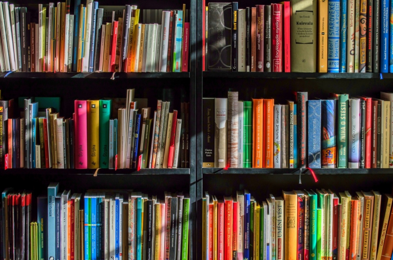 boutique-GRIMAUD-min_books_bookstore_book_reading_shop_writer_sale_books_read-822866